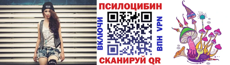 omg ссылка  Талдом  Галлюциногенные грибы Psilocybine cubensis 
